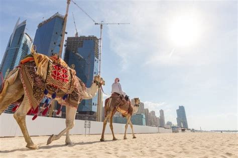 10 Reasons To Go To Dubai Edreams Travel Blog