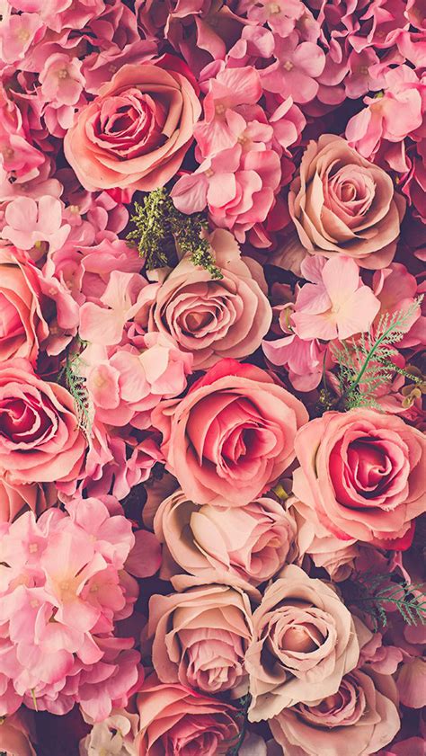 Pink Roses Bouquet Fresh Iphone Wallpapers Free Download