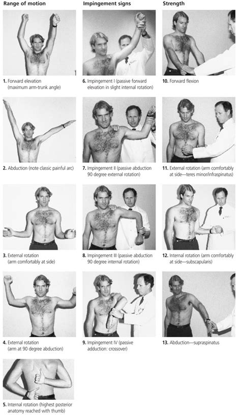 Illustrations Showing Elements Of A Shoulder Assessment Grepmed