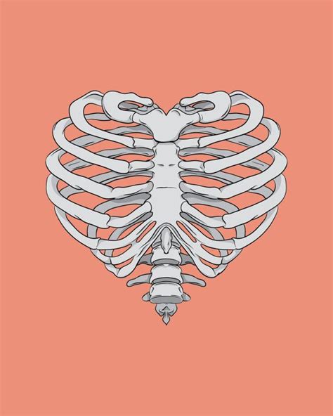 Heart Ribcage By Appendageaccessories On Etsy 1000 Bone Drawing