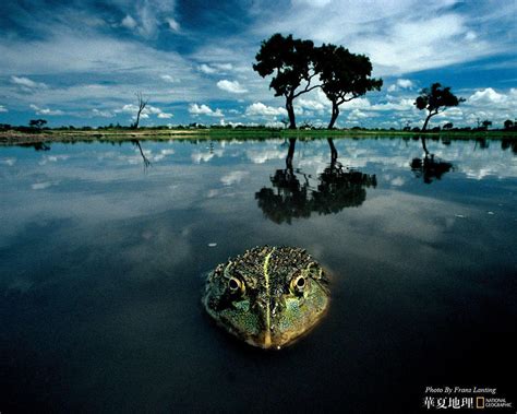 National Geographic Wallpaper Nature