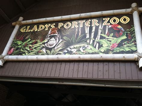 Gladys Porter Zoo Zoo With Us