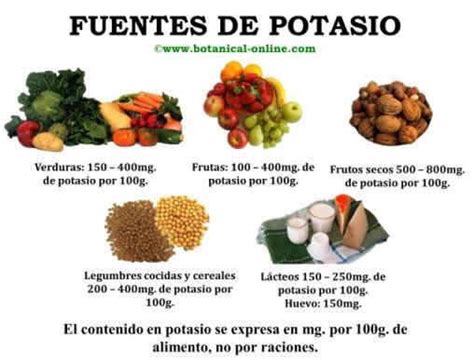 El potasio es un nutriente esencial utilizado para mantener el equilibrio de los líquidos y electrolitos del. Nutricionista estudiar: Alimentos en los que se encuentra el potasio