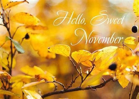 The Words Hello Sweet November Are Written In White Letters On Yellow