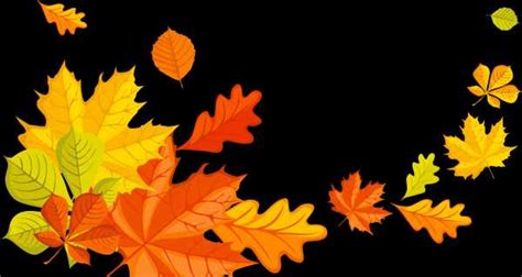 Осенние листья картинки цветные - Картинки и шаблоны осенних листьев ...