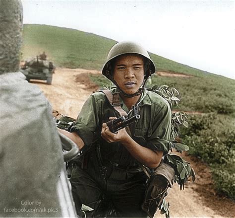 A North Vietnamese Soldier Riding On A T 34 Tank Colorized 2218 X