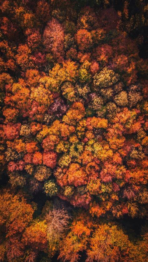 Autumn Aerial Wallpapers Wallpaper Cave