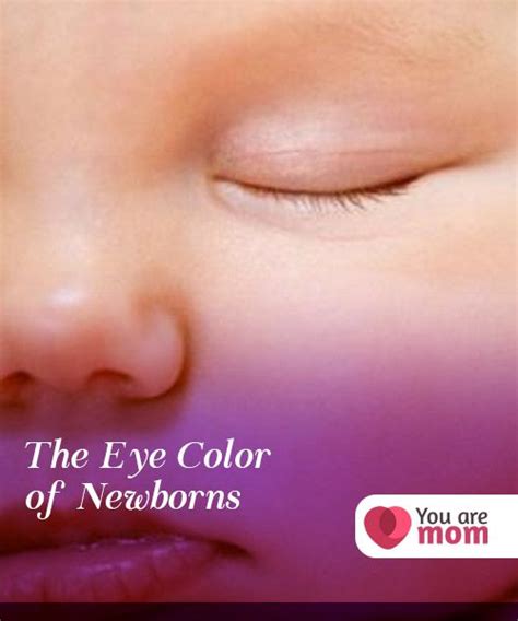 The Eye Color Of Newborns With Images Newborn Eye Color
