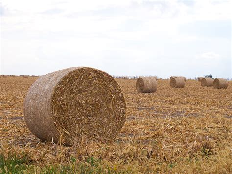 Round Straw Bales On Behance