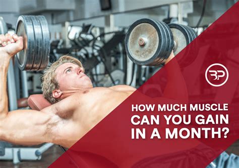 How Much Muscle Can You Gain In A Month Eric Bach Blog
