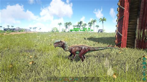 Image Ark Dilophosaurus Screenshot 006 Ark Survival Evolved