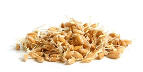 The Nutrition Of Wheat Germ Nutrition Healthy Eating