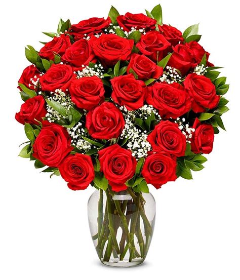 Two Dozen Red Roses With Babys Breath At From You Flowers