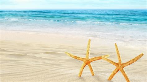 Theme for beach wallpaper, exclusive choice for your taste ~ hd wallpaper, fresh interface, bring you a new visual experience and spiritual touch! Nice summer beach, sea and starfish theme - HD wallpaper ...