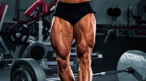 Anatomy Of Leg Biceps Muscle