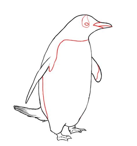 How To Draw A Penguin Draw Central Penguin Drawing How To Draw A