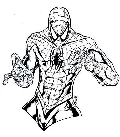 Spider Man Para Imprimir Y Colorear