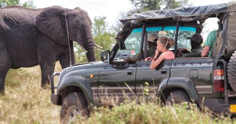 serengeti safari in tanzania safari information for your serengeti holiday