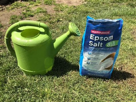 Epsom Salt For Plants Epsom Salt For Plants Fertilizer For Plants