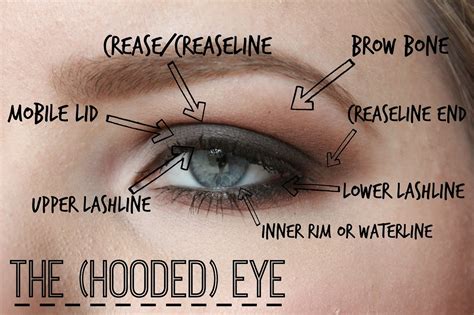 5 Makeup Tips For People With Hooded Eyes