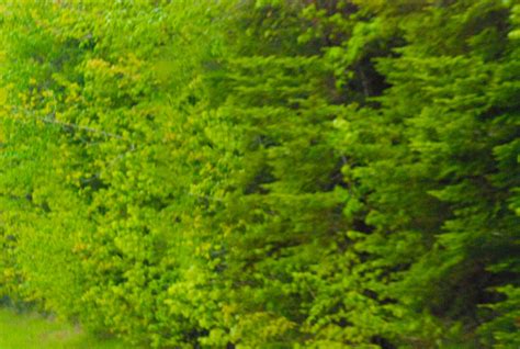 Bio | James Wyatt Crosby