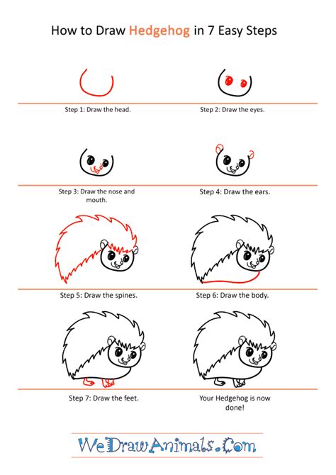 How To Draw A Cartoon Hedgehog