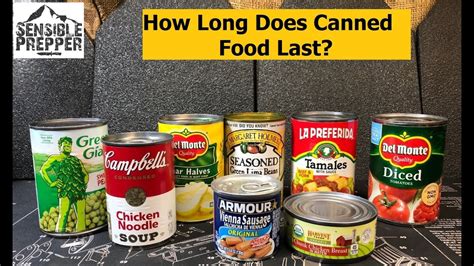 How Much Does Canned Food Weigh New