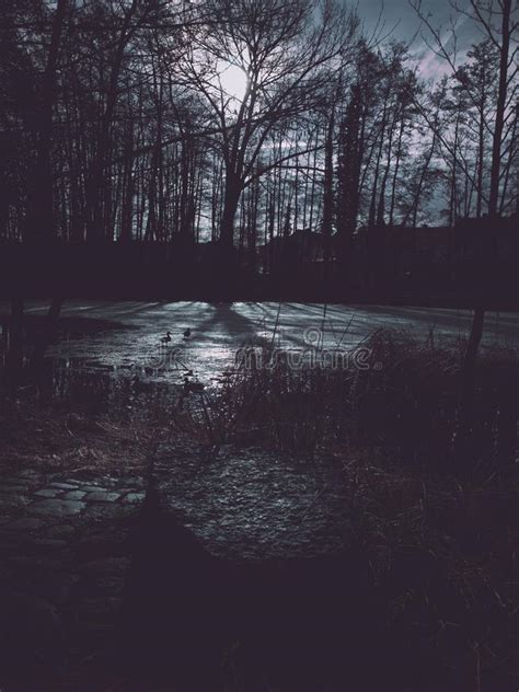 Frozen Lake At Night Reflecting Moonlight Stock Image