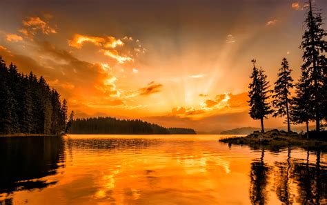 Download Orange Color Sky Tree Silhouette Lake Nature Sunset Hd Wallpaper