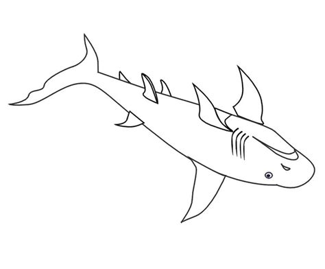 Shark coloring book pages san jose sharks printable baby. 17 Best images about Sharks on Pinterest | Shark fin, Mouths and Swim