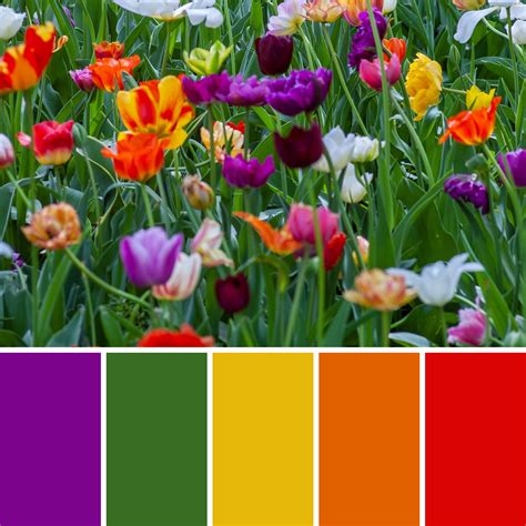 Spring Colour Palettes Hex Codes Mean Creative