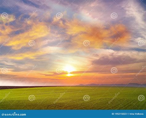 Summer Sunset Yellow Clouds At Sky Countryside Green Grass Field Pink