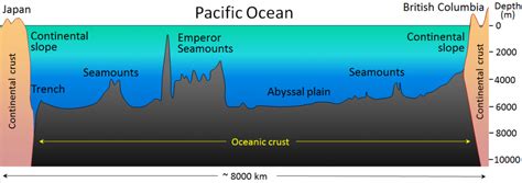 181 The Topography Of The Sea Floor Geosciences Libretexts
