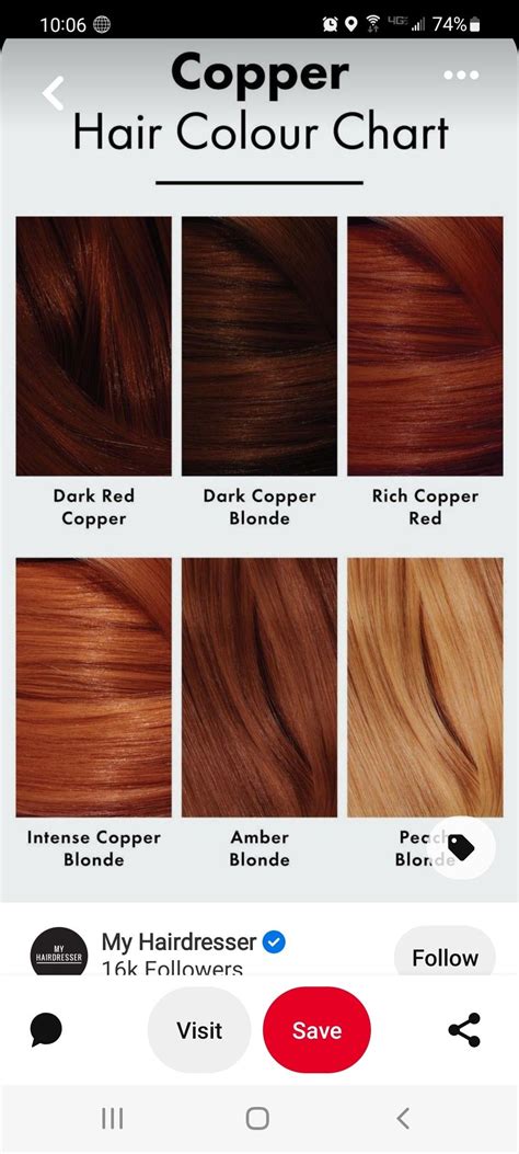 Red Hair Color Chart Hair Inspo Hair Inspiration Copper Blonde Hair