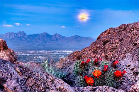 15 Free Things To Do In Las Cruces Nm Travel Lens