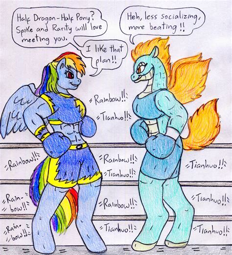 Boxing Rainbow Dash Vs Tianhuo By Jose Ramiro On Deviantart