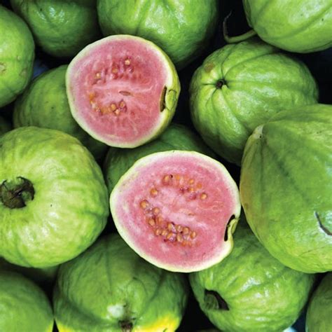 Buy Guava Perakka Kiran Layer Live Fruit Plant Greens Of Kerala