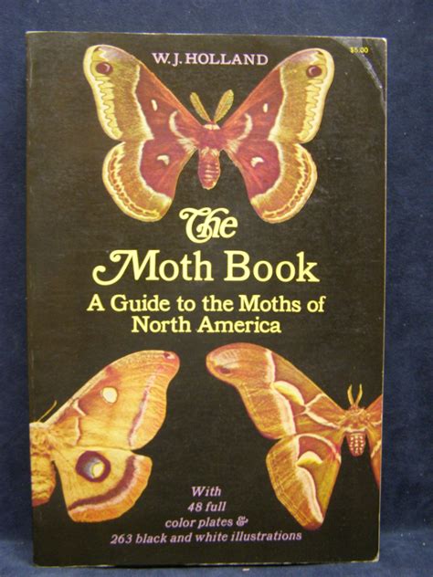 Pin on Books!