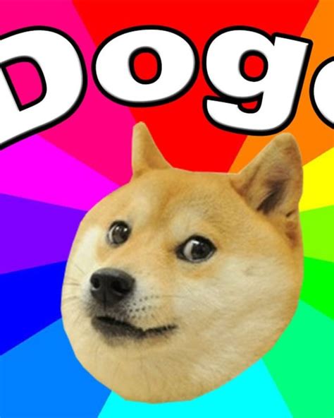 Doge Day Doge Day Doge Know Your Meme Enjoy Real Benefits And