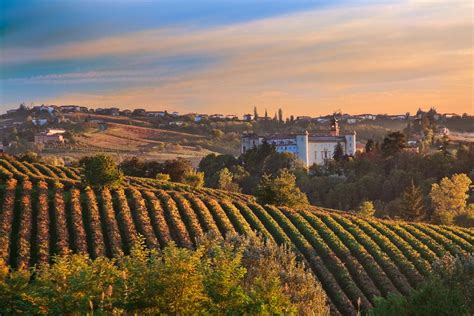 5 Interest Facts About Piedmont Region In Italy Alba Wine Tour