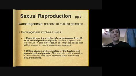 Emb Lecture 12 By Melissa Parker Rn Bsn Youtube