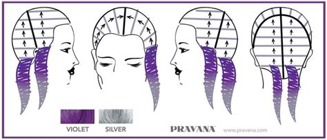 How To Purple And Silver Urban Ombre Beauty Hair Color Vivid Hair