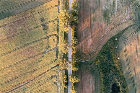 Aerial Top Down View Of A Rural Road Between Fields Stock Photo Image