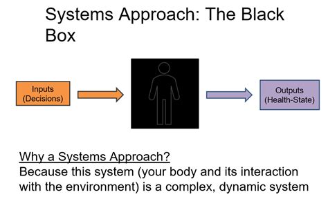 The Reprogrammed Systems Approach Your Health Reprogrammed