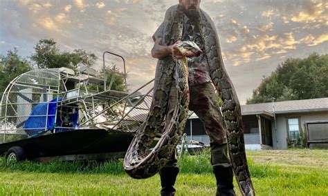 Python Hunter Alone In Florida Everglades Suffers Bloody Bite Brings