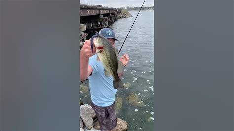 Catching Pre Spawn Largemouth Bass Youtube