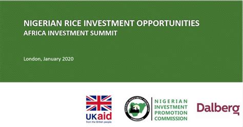 Nigerian Rice Investment Opportunities Nigerian Investment Promotion