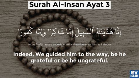 Surah Al Insan Ayat 3 763 Quran With Tafsir My Islam