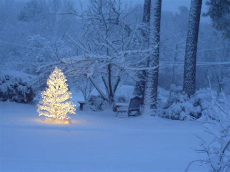 Not Just An Ordinary Christmas Snowy Christmas Tree Holiday Season