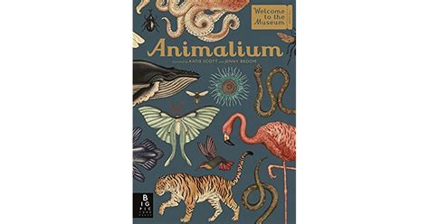 Animalium By Jenny Bloom